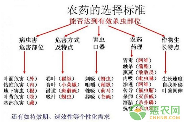 博鱼彩票如何经营管理好一个果园？果农必看的36条植保知识！(图2)