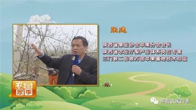 博鱼彩票春季果园管理云课堂（三）：苹果树春季保花保果病虫防治勿放松(图2)