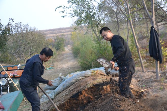 博鱼彩票在农村租地栽果树前景怎么样？比种粮食强但想赚钱要靠个人(图7)