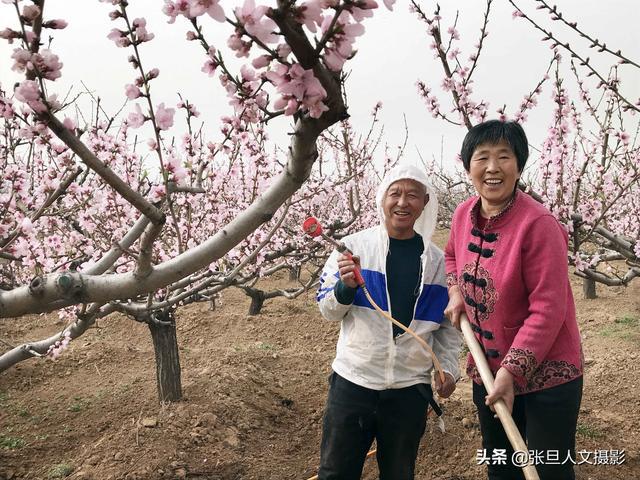 博鱼彩票67岁老农几年前种了三种果树 其中一种果子让他家过上了好生活(图1)