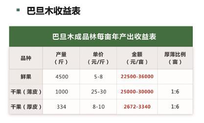 陕西巴旦木树苗栽种是在几月份几月份成熟采摘(图2)