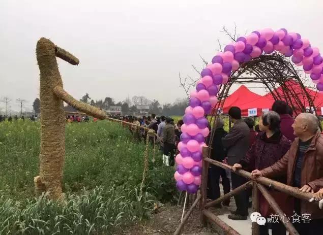 博鱼彩票藏在成都的普罗旺斯——成都周边生态农场（九）(图22)