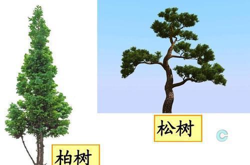 老人常说“五树进宅人穷家败”指的是哪5种树？你家种了吗？(图3)