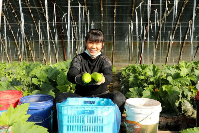 博鱼彩票太谷区范村镇闫村：经营“菜篮子” 鼓起“钱袋子”(图1)