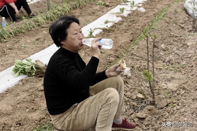 农村大嫂们地里帮工栽茄子苗不挣工钱吃饼子加肉啥情况(图2)