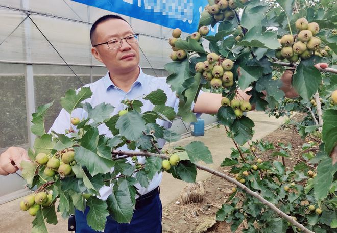 丹阳日日红农业科技范国虎：一位专注种业“芯片”的“新农人”(图1)