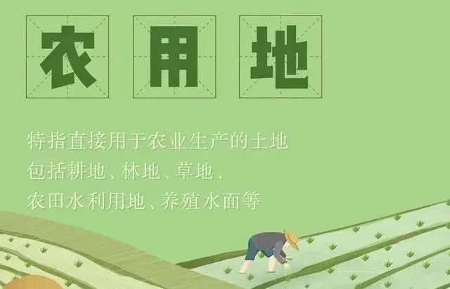 那些与耕地有关的知识(图1)