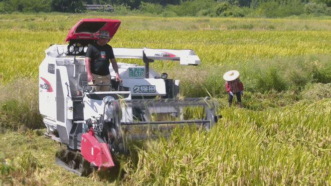 肇庆：大力推广现代农业技术提高粮食增产增收(图1)