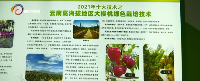 云南省农业科学院权威发布：2021年十大品种十大技术(图2)