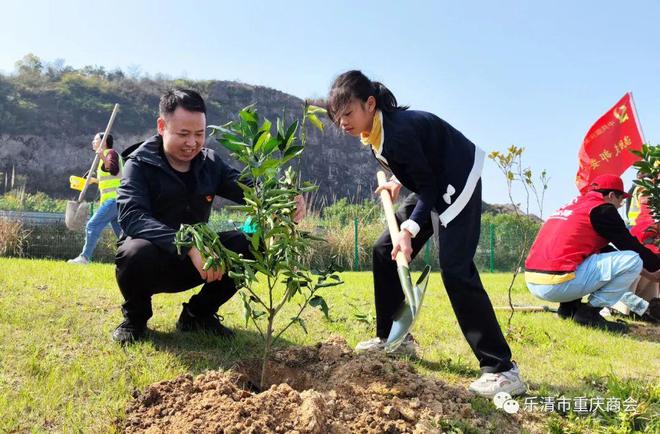 同植友谊树 共奔新征程｜重庆商会党支部开展党建联建植树活动(图4)