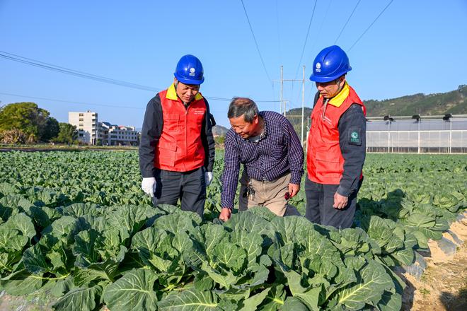 博鱼彩票春耕春灌“赶农时” 供电服务暖“心田”(图1)