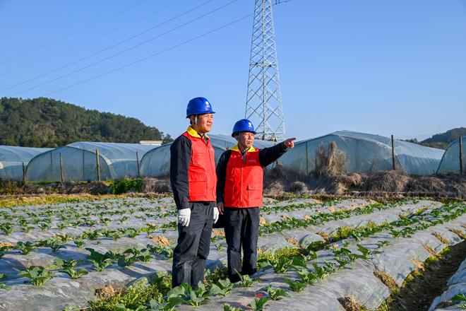 博鱼彩票春耕春灌“赶农时” 供电服务暖“心田”(图2)