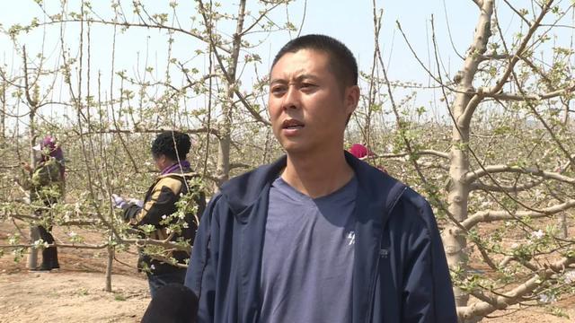 「春日会宁」人间四月芳菲尽 苹果花开兆丰年(图8)