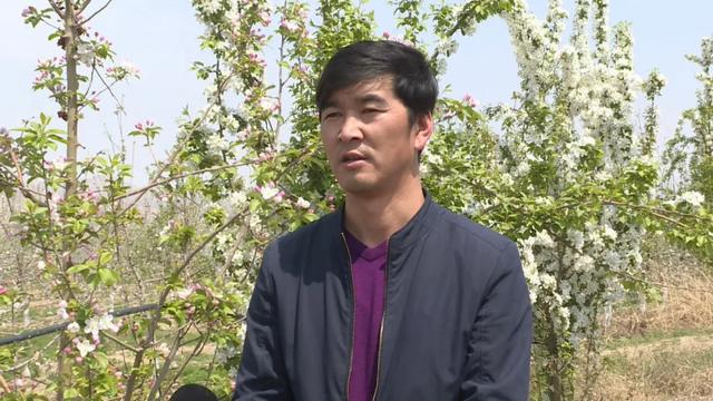 「春日会宁」人间四月芳菲尽 苹果花开兆丰年(图9)