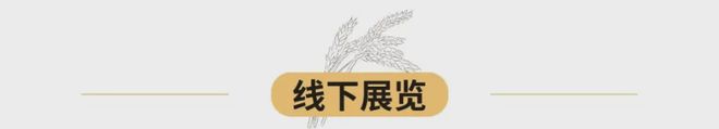 博鱼彩票四时农耕课丨春耕 夏耘 秋收 冬藏我们和水稻共成长(图7)