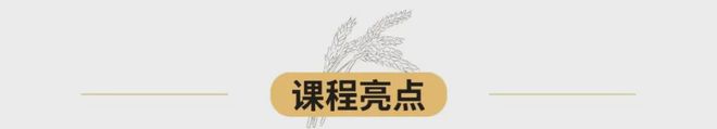 博鱼彩票四时农耕课丨春耕 夏耘 秋收 冬藏我们和水稻共成长(图6)