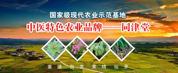 农村种植什么能致富？同津堂中草药材种植致富的不二选择(图2)