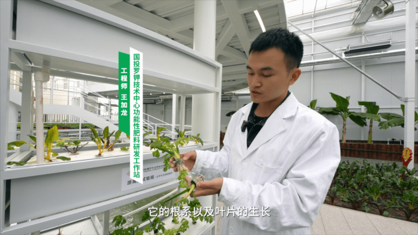 博鱼彩票云南卫视《种植前线》——罗钾智慧农业助力三河蔬菜提“智”增效 发展加速(图3)