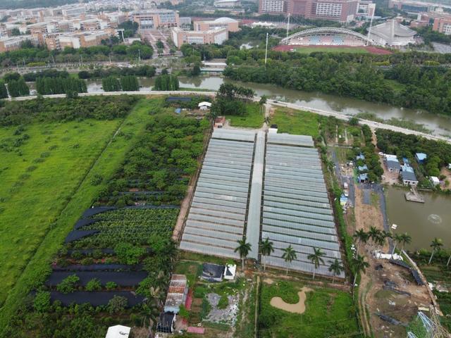 博鱼彩票广州番禺区大学城旁有15亩大棚采摘园适合做亲子拓展观光农业(图2)