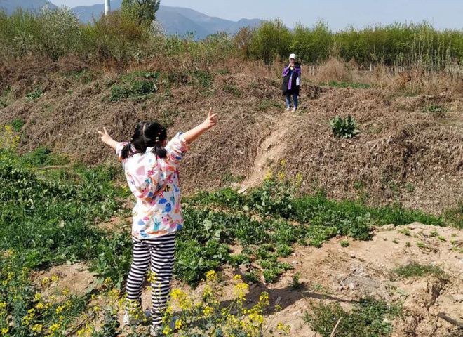 西安周边这4大草莓采摘地适合周末带娃去采摘还能赏花挖野菜(图11)