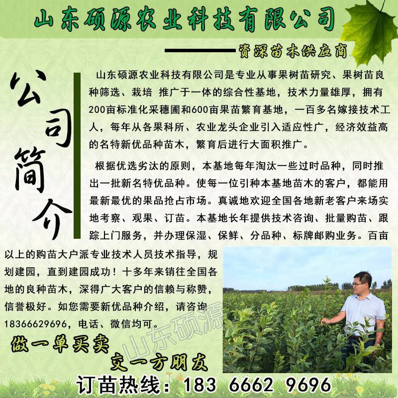 博鱼彩票果园规划果园设计山东硕源苗木合作社规划(图1)