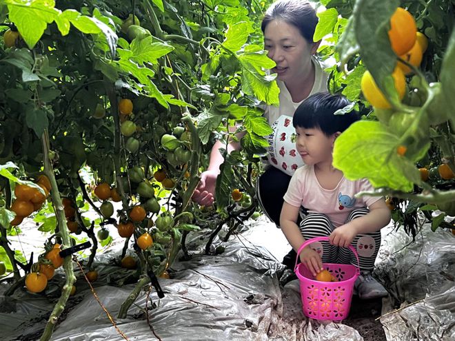 农业科普教育体验基地落户顺义河西这地方快来打卡(图2)