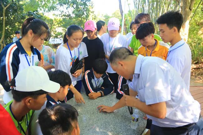 博鱼彩票快看！大成古树下他们重温了红色记忆学习千年古树的科普知识↓(图2)