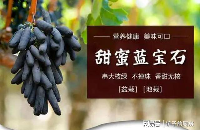 果农最爱的果树好养易打理果子皮薄肉嫩酸甜爽口(图5)