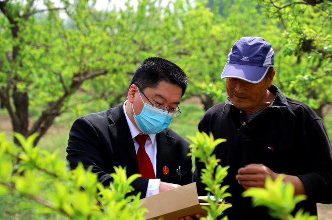 壹现场｜种了20多年的果园面临强执 法官“献计”：收成后果子归主人土地再归还(图2)