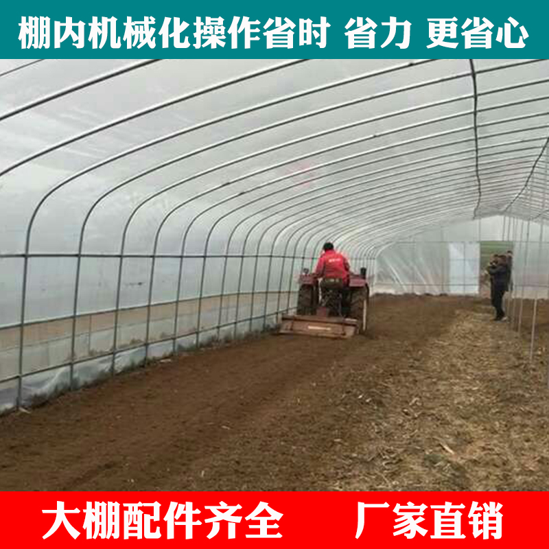 博鱼彩票浦东新区草莓大棚多少钱一个平方抗雪强(图1)