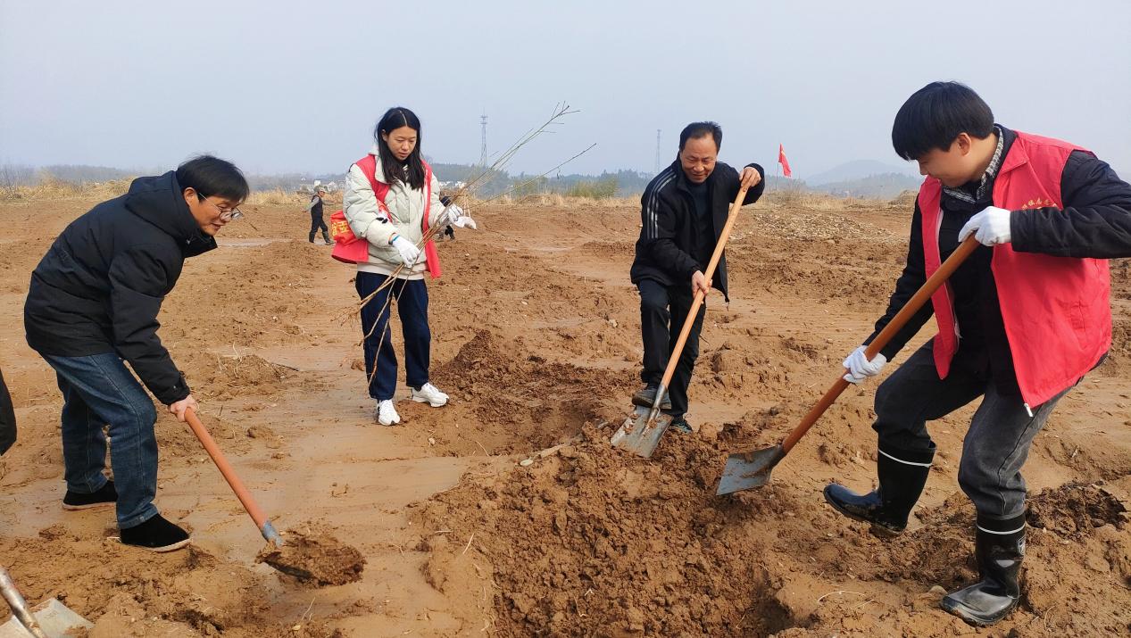 博鱼彩票东至县洋湖镇开展全民义务植树活动(图2)