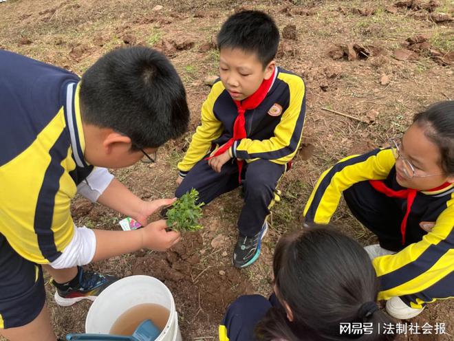 走馆学耕种 躬行草药香(图1)