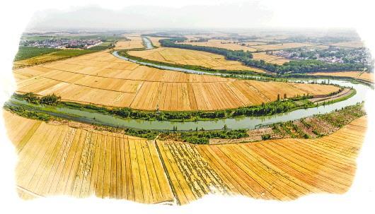 博鱼彩票乡村振兴·基层说｜土地托管：种田更轻松多方能共赢(图1)