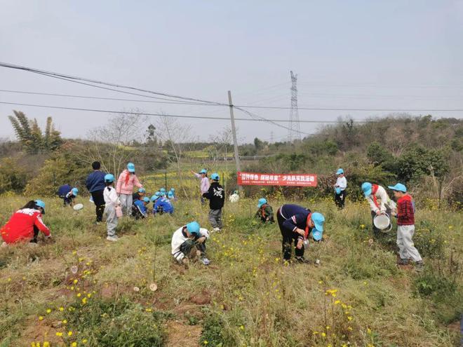 博鱼彩票自贡市青少年宫“播种绿色 探秘寻宝”少先队实践活动(图3)