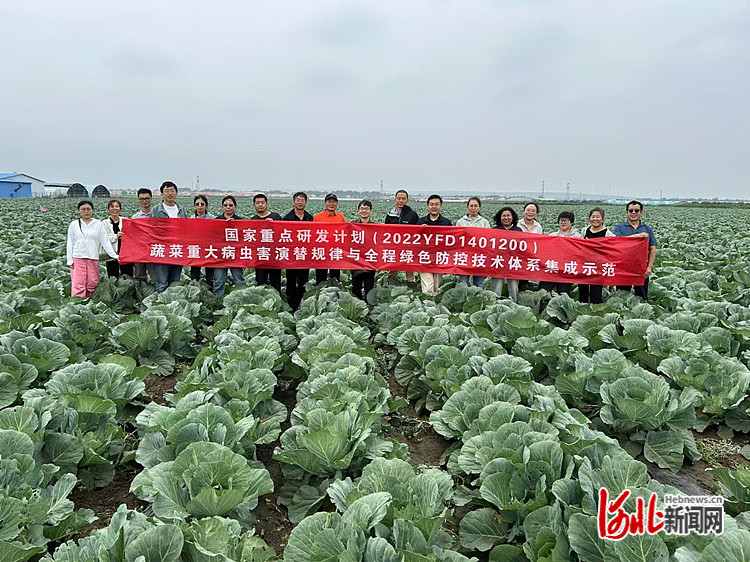 博鱼彩票“十字花科蔬菜主要病虫害全程绿色防控技术体系” 观摩测评会在张家口召开(图1)