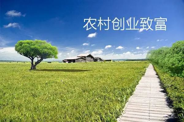 博鱼彩票农村致富种植项目效益高销路不用愁！(图1)