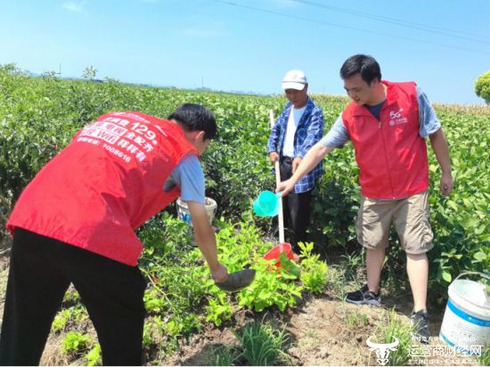 博鱼彩票湖北移动驻村帮扶办实事 党建引领助秋收(图1)